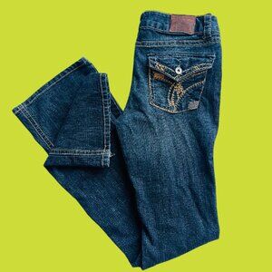 PARIS BLUES Women's Jeans sz 9 dark wash Vintage